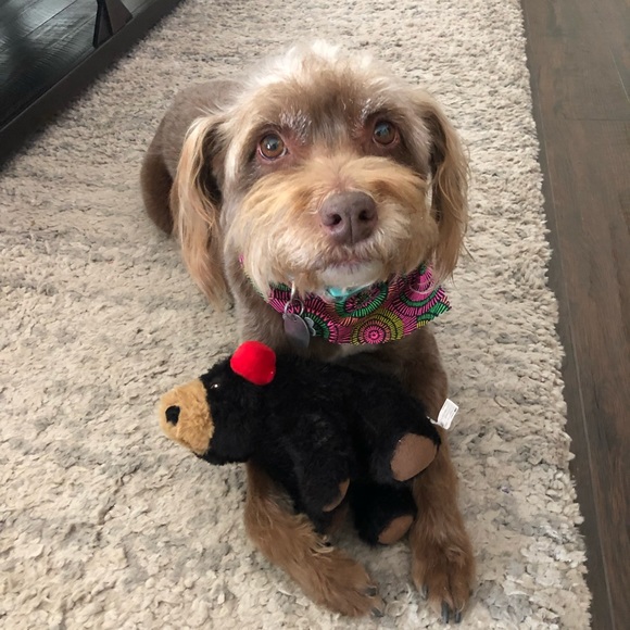 Get to know me! - Picture 2 of 2